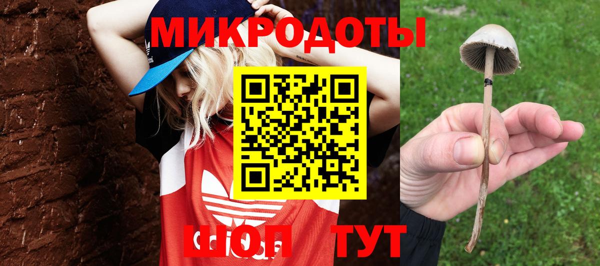 Галлюциногенные грибы мицелий  Вход с VPN  наркотики  Екатеринбург  Галлюциногенные грибы прущие грибы 