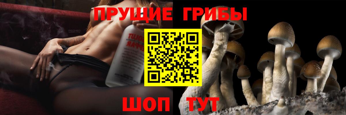 Псилоцибиновые грибы Psilocybe Екатеринбург